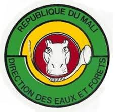 Logo 7