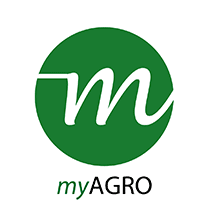 Logo 6